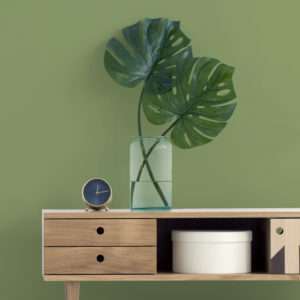 Salon avec meuble en bois et plante verte, mis en valeur par notre vert ALOE VERA - N°1958 Peintures 1825