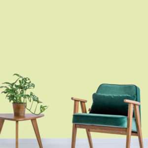 Salon avec chaise vert émeraude en bois et plante verte, mis en valeur par notre vert anis DESERT SUN - N°2078 Peintures 1825
