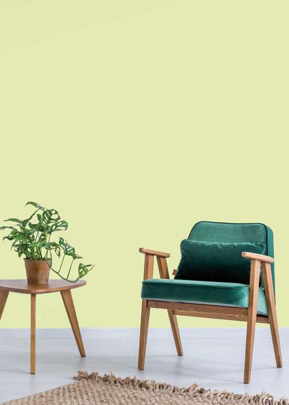Salon avec chaise vert émeraude en bois et plante verte, mis en valeur par notre vert anis DESERT SUN - N°2078 Peintures 1825