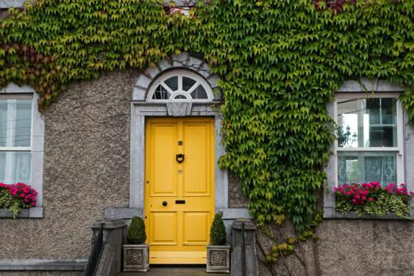 Maison avec plantes grimpantes sur la façade et porte d'entrée mise en valeur par notre jaune vif LEMON CURD - N°2020 Peintures 1825